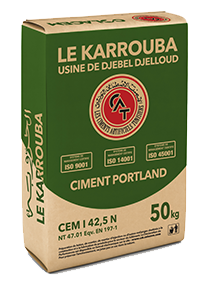 CEM I 42,5 N